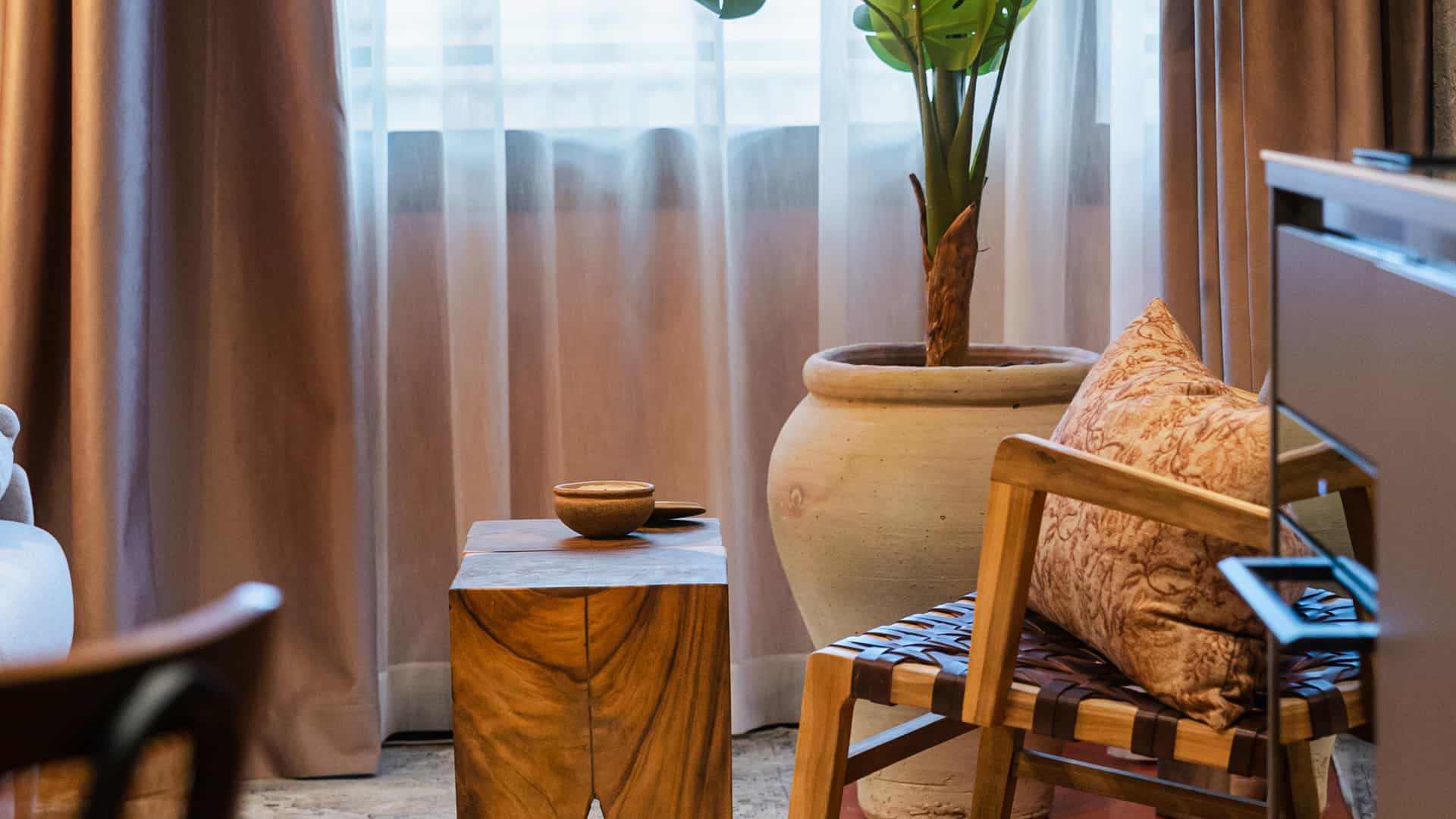 Rincón de salón con butaca de madera, mesita y gran planta en uno de los apartamentos en Murcia de Grupo CCOMMO