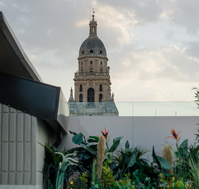 Torre y cúpula de la Catedral de Murcia vistas desde una azotea con plantas tropicales