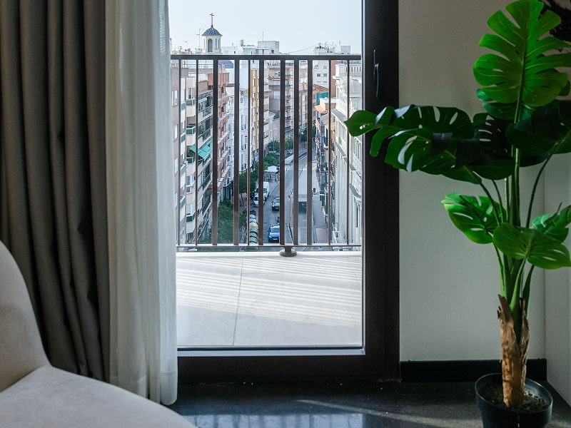Estudio Premium con balcón | Balcón Puerta abierta al balcón con barandilla negra, planta junto a la ventana y vistas a la calle