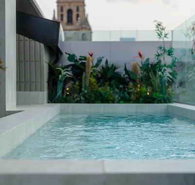 Piscina en la azotea con vistas a la catedral Piscina de la azotea de Los 36 rodeada de plantas, con la torre de la Catedral de Murcia al fondo